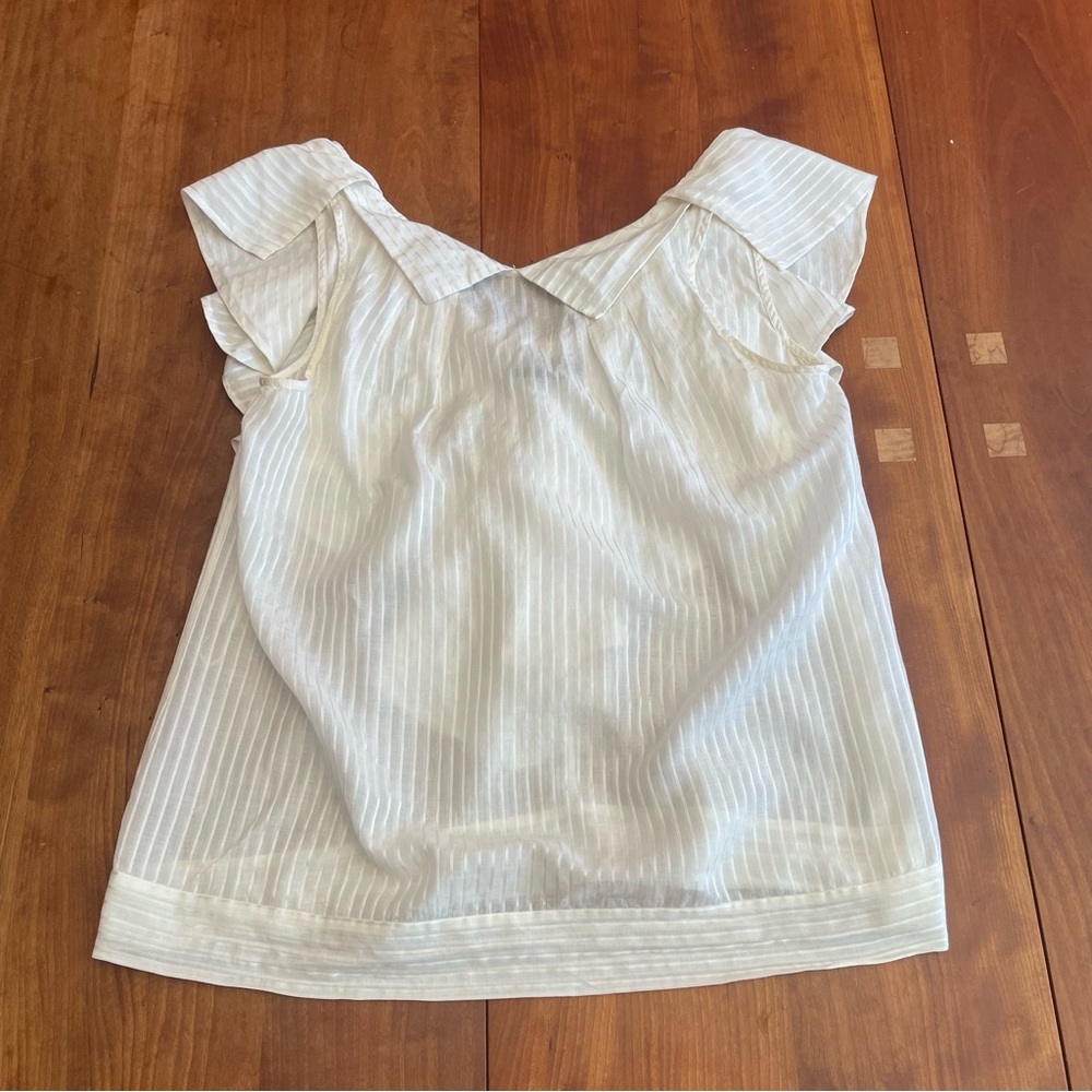 Sheer BCBG blouse M